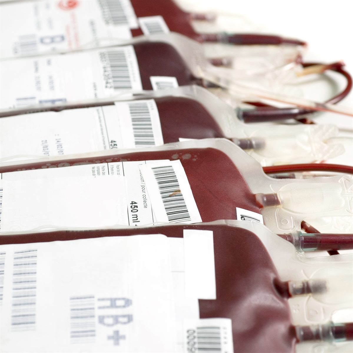 Blood bank sample bags